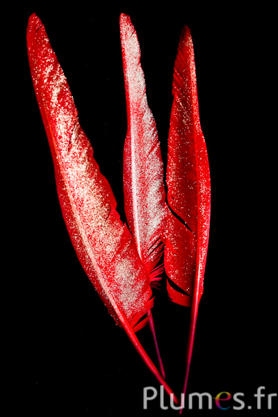 Cygne lame avec paillettes - 28-32 cm - rouge